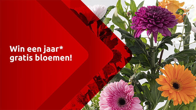 Win een jaar lang gratis bloemen, door mee te doen aan de foto-actie tijdens Corso Zundert