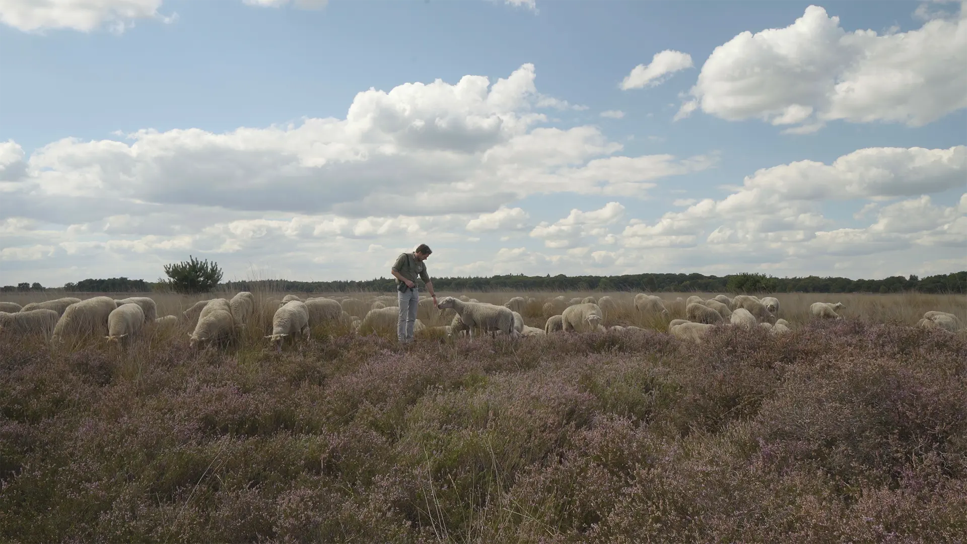 Aflevering 8: De Regte Heide (Goirle)