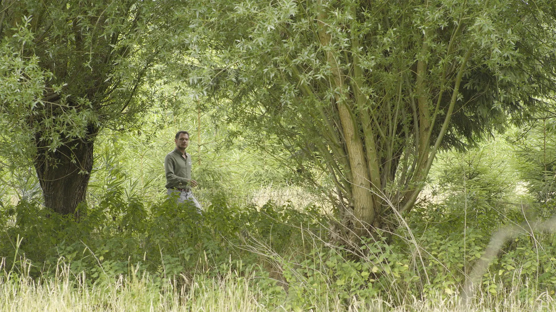 Aflevering 5: Nuenens Broek (Nuenen)