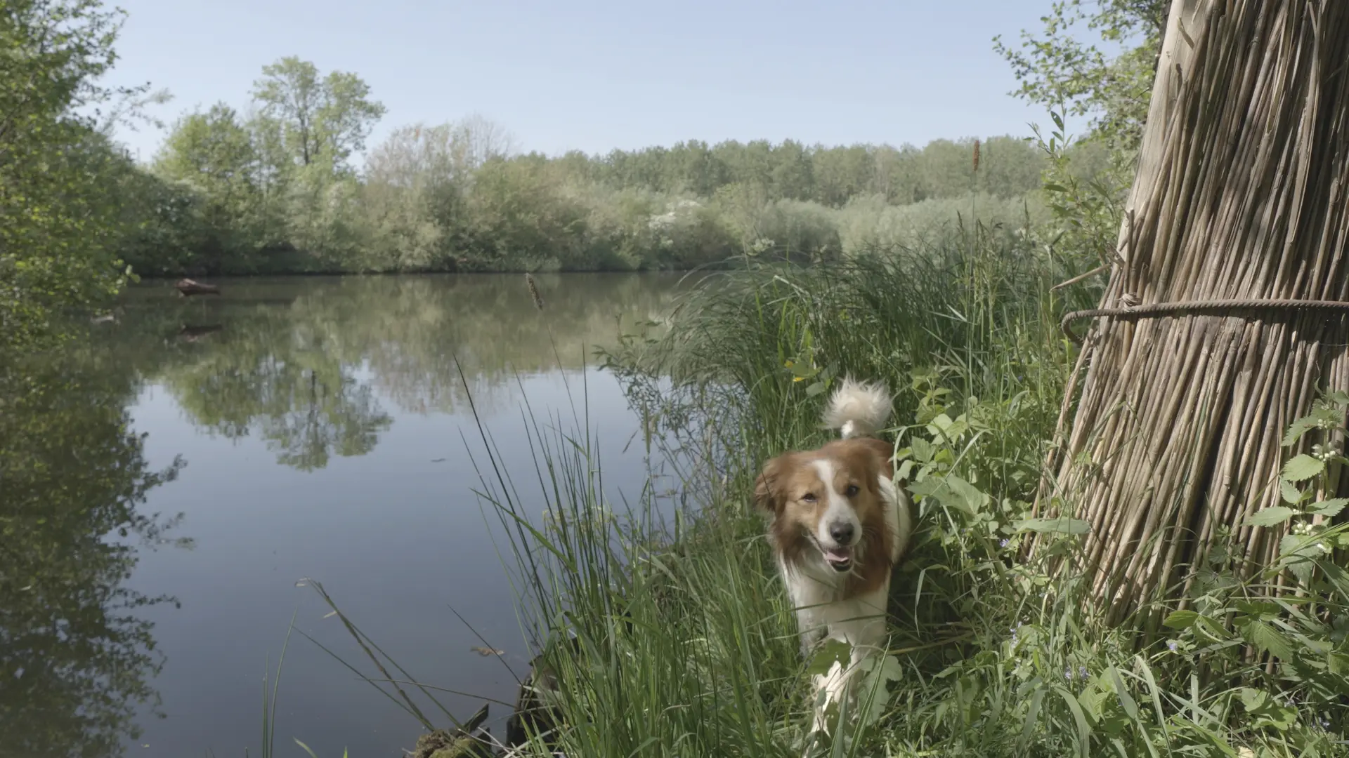 Aflevering 2: Pompveld (Andel)