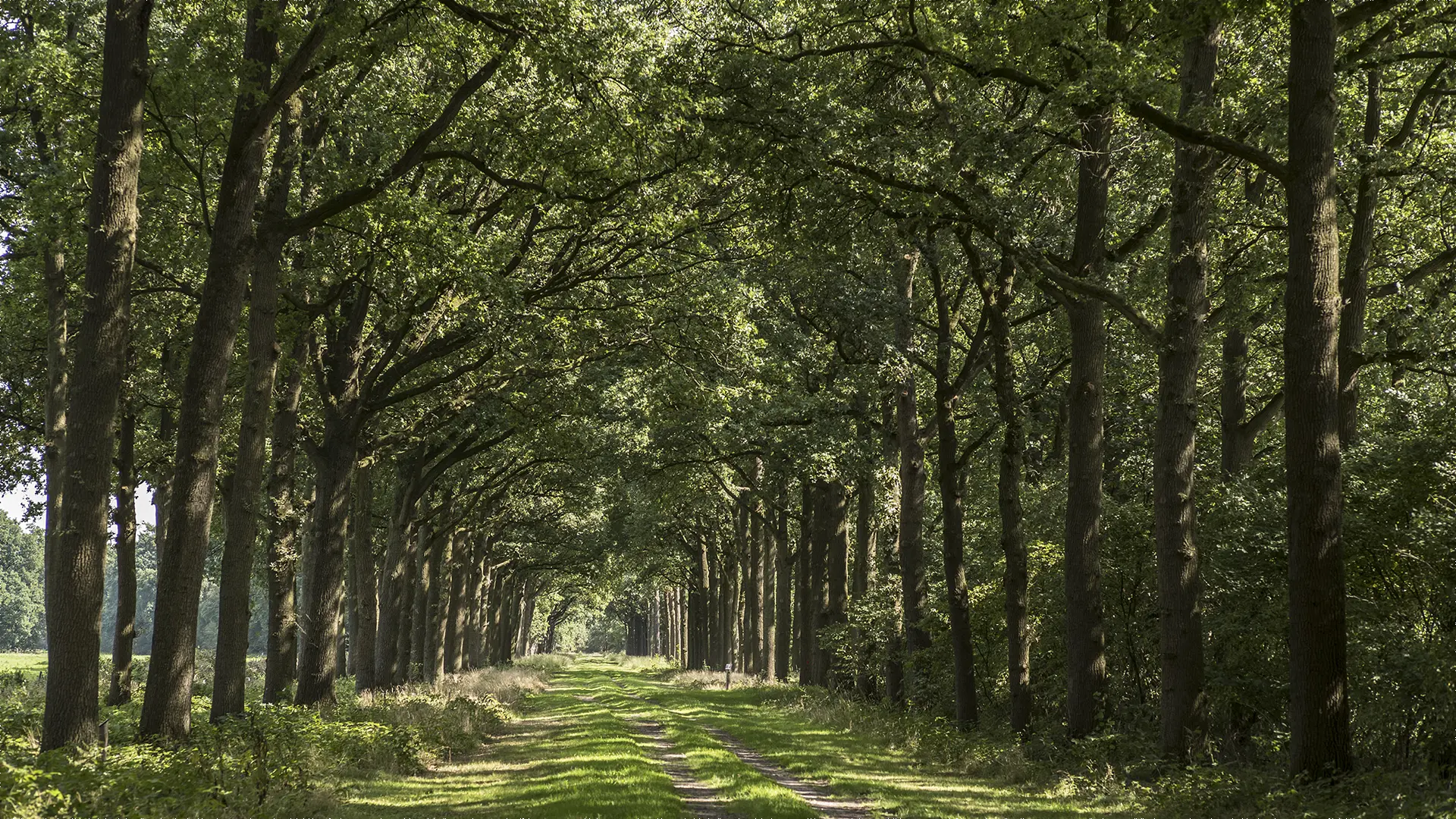 Aflevering 6: Grote Slink – Bunthorst (Land van Cuijk)